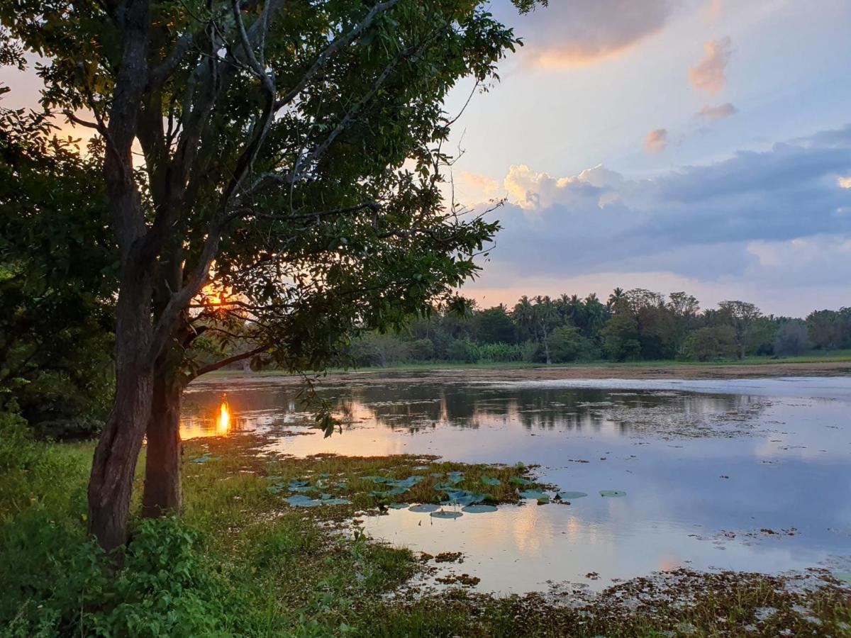 Ama Eco Lodge Sigiriya Eksteriør bilde