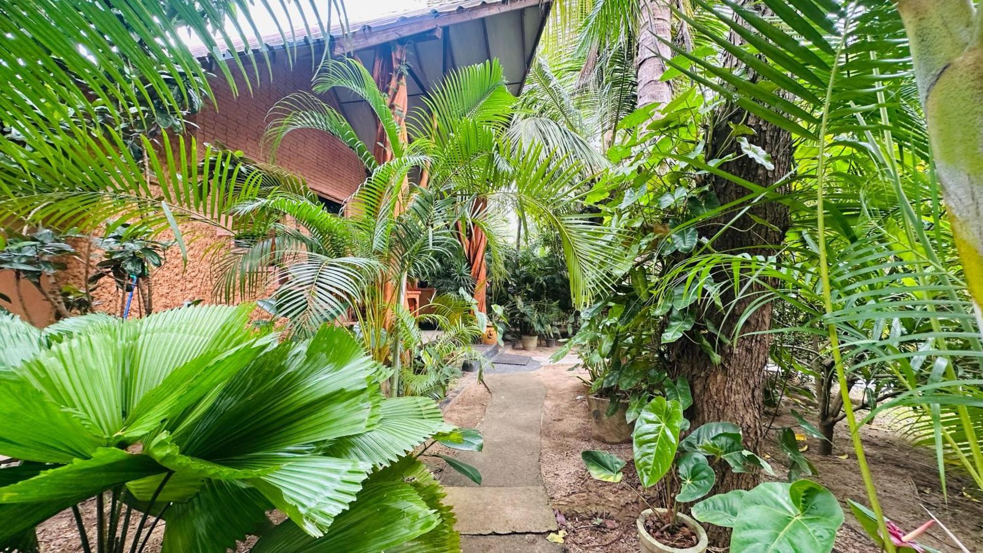 Ama Eco Lodge Sigiriya Eksteriør bilde