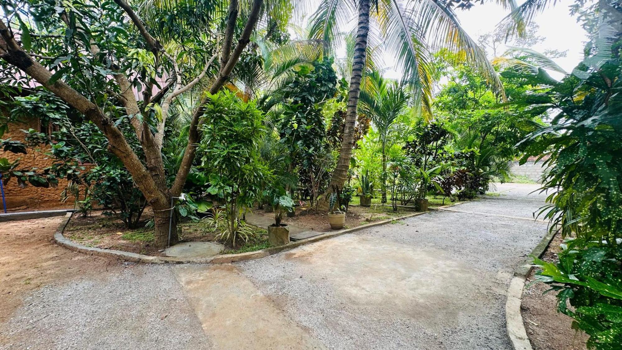 Ama Eco Lodge Sigiriya Eksteriør bilde