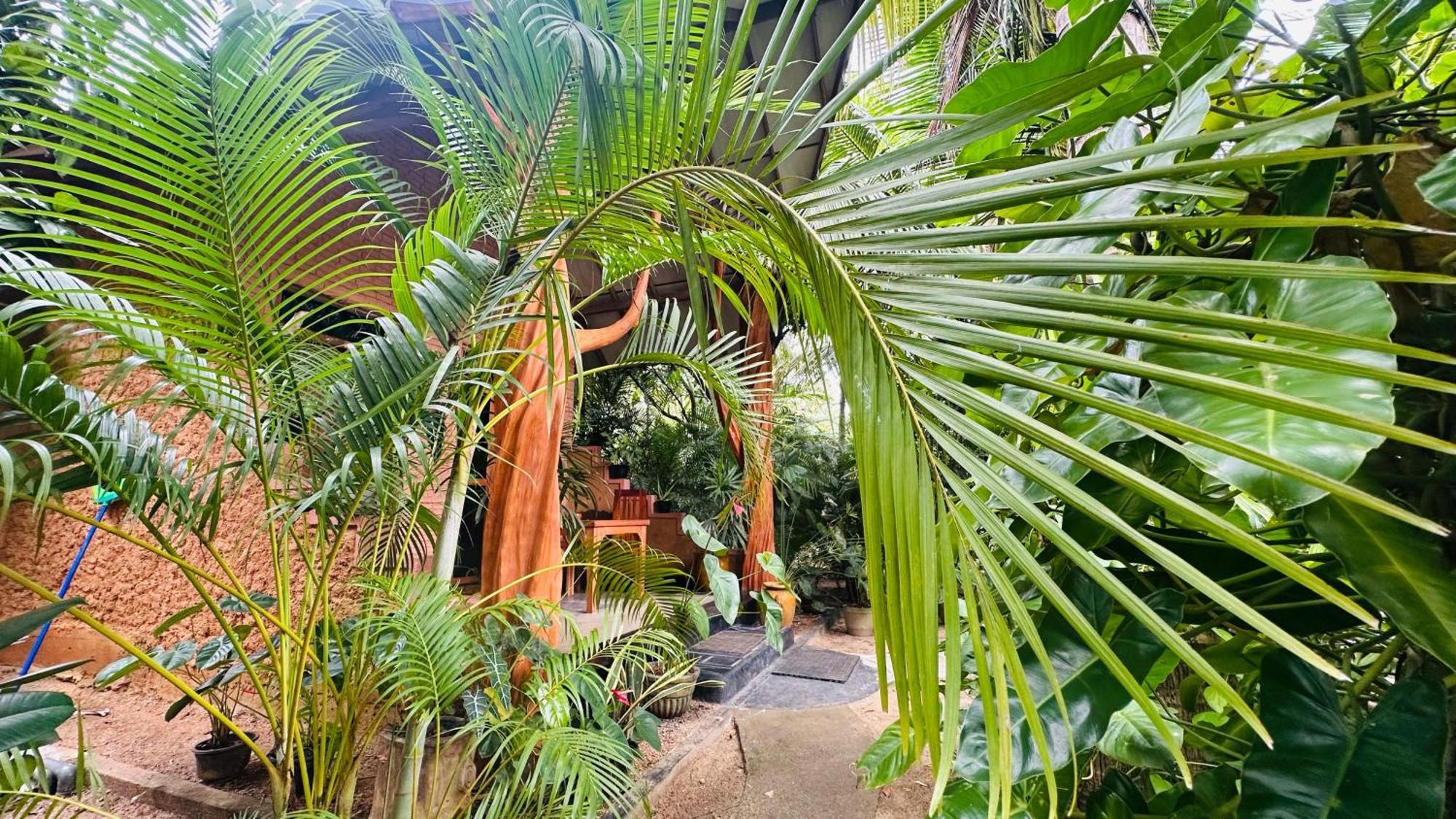 Ama Eco Lodge Sigiriya Eksteriør bilde